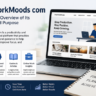 onlyworkmoods com