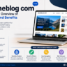 brumeblog com