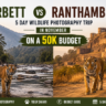 compare corbett and ranthambore for a 5 day wildlife photography trip in november on a 50k budget